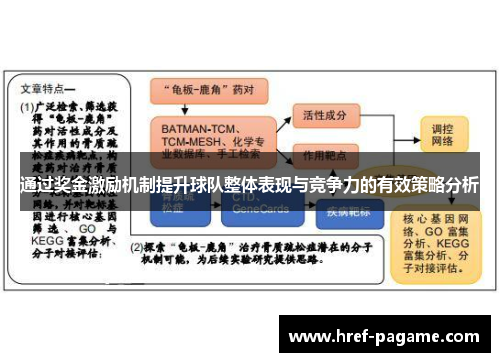 通过奖金激励机制提升球队整体表现与竞争力的有效策略分析