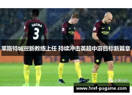 莱斯特城迎新教练上任 持续冲击英超中游目标新篇章