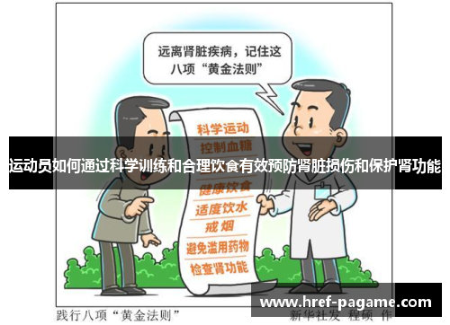 运动员如何通过科学训练和合理饮食有效预防肾脏损伤和保护肾功能
