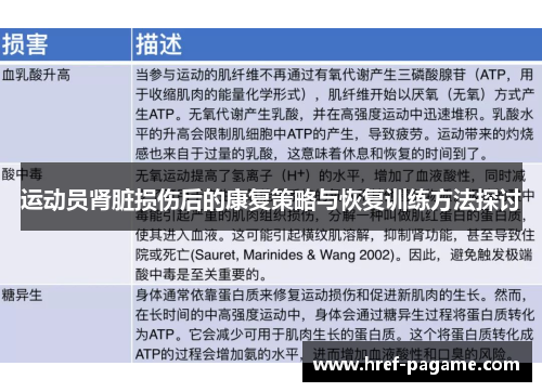 运动员肾脏损伤后的康复策略与恢复训练方法探讨
